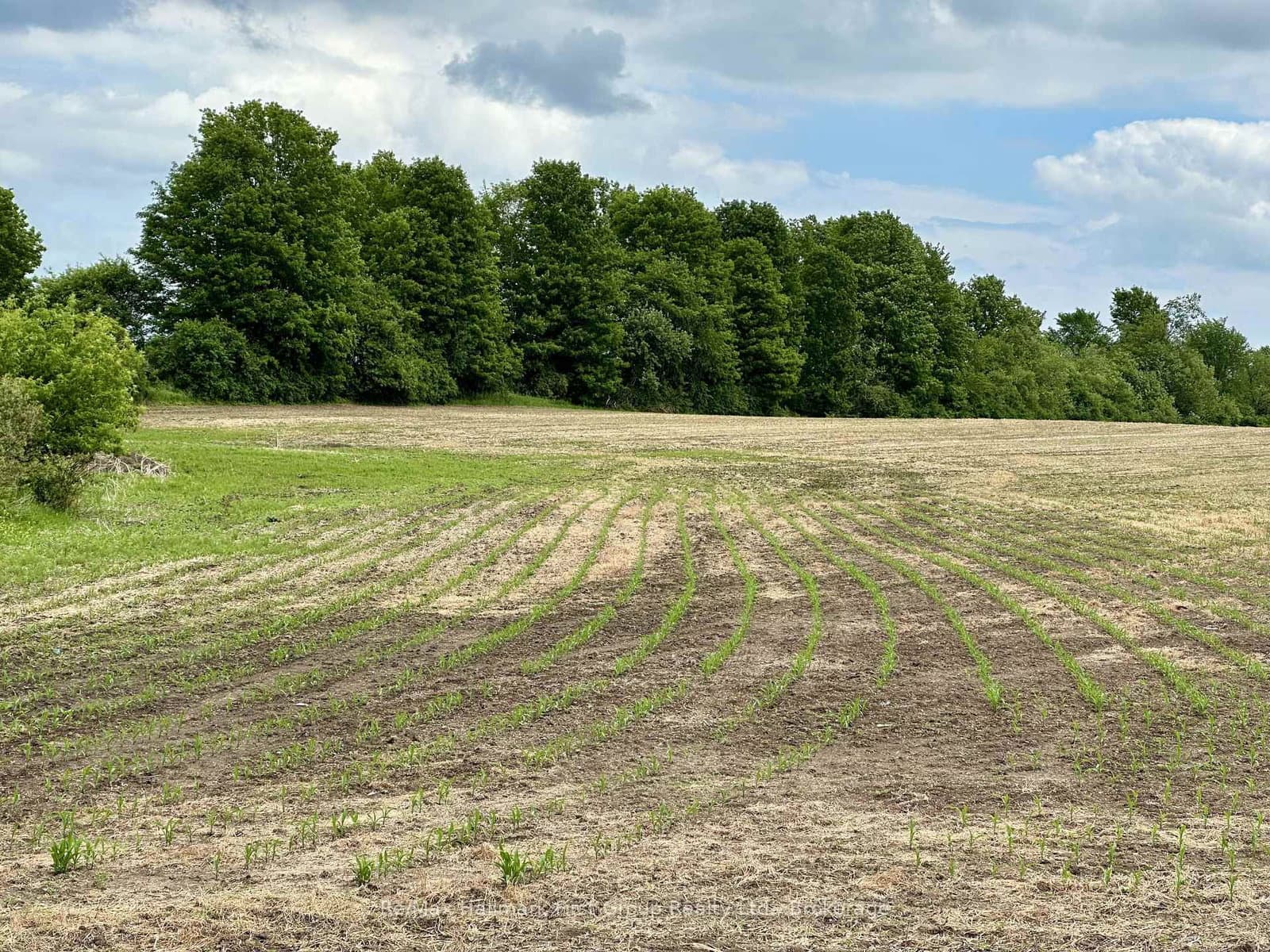 Vacant Land at 430 Scugog 6 Line