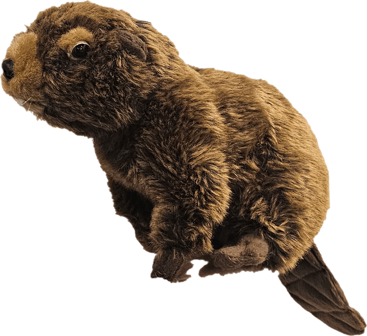 Hank the stuffed beaver that hides in every listing video