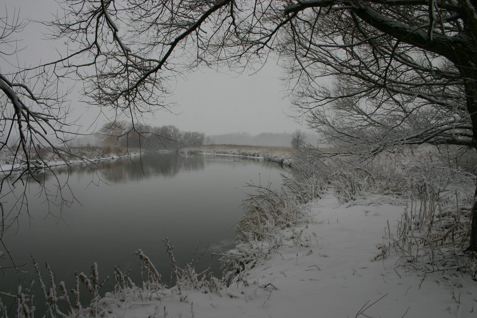 Duffins Creek through the protected greenway