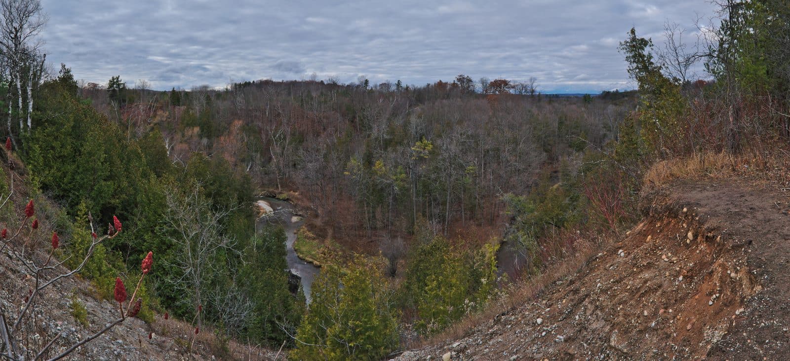 Autumn lookout over Greenwood Conservation Area