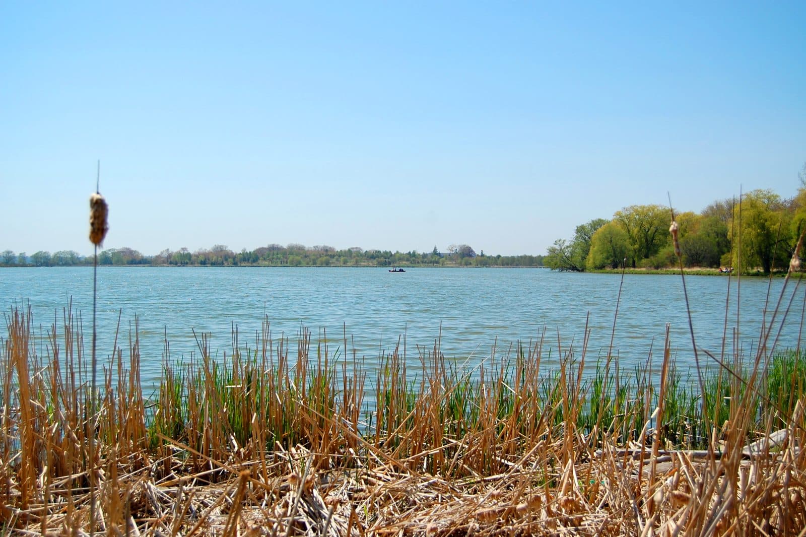 Clarington, Durham Region