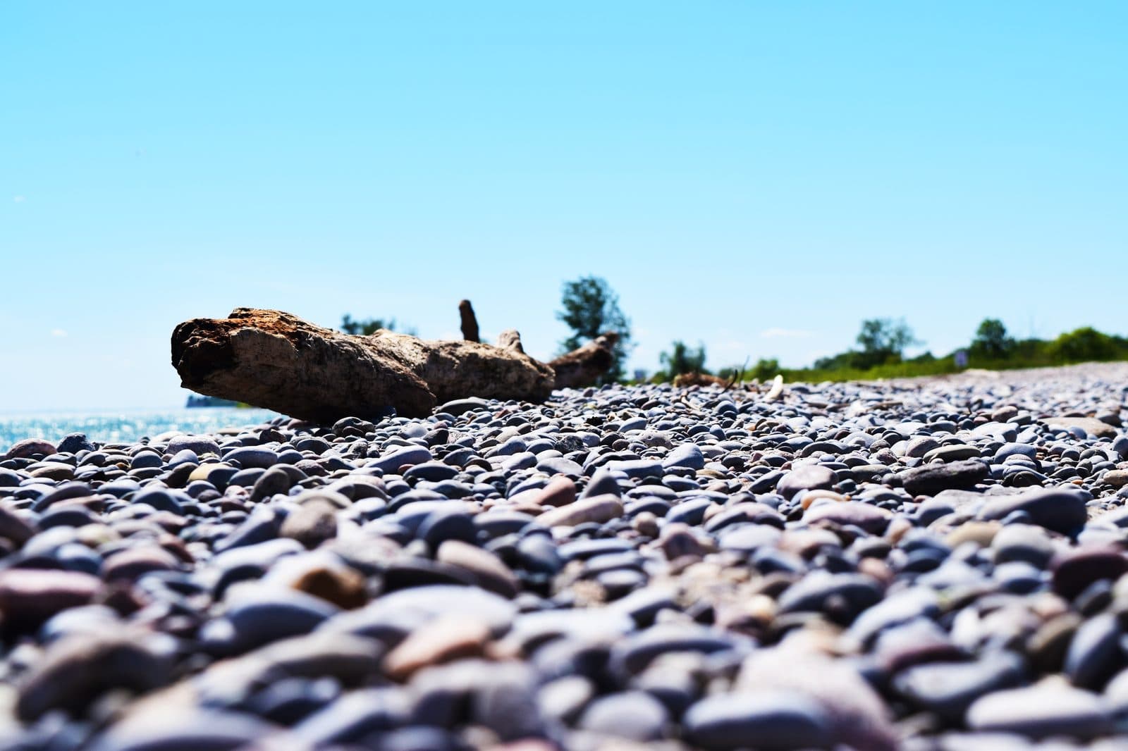 Pebbled Lake Ontario shoreline at Darlington Provincial Park, minutes from town