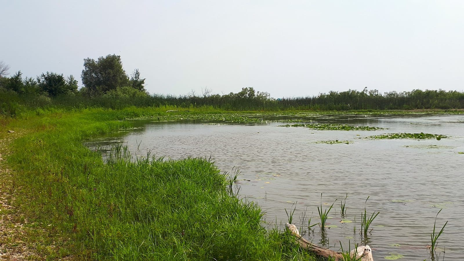 McLaughlin Bay, a quiet inlet on the Courtice waterfront