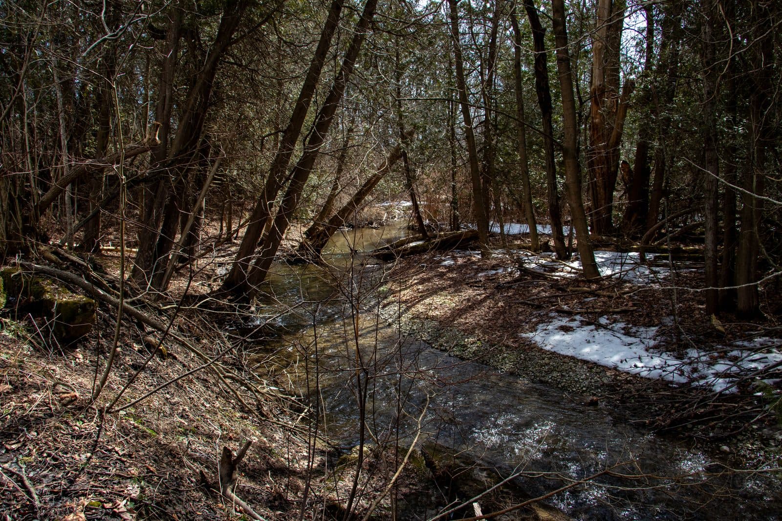 Sidney B. Rutherford Woods Walk Park trail in the heart of the village