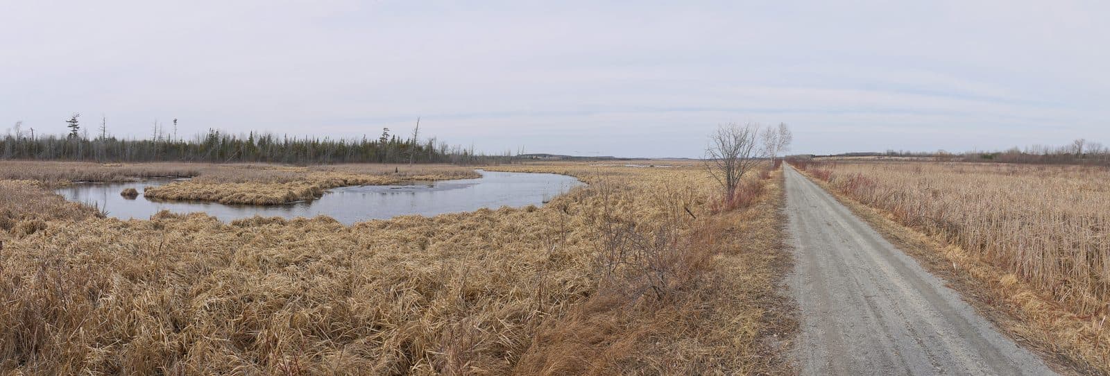Beaver River along the Trans Canada Trail in Scugog