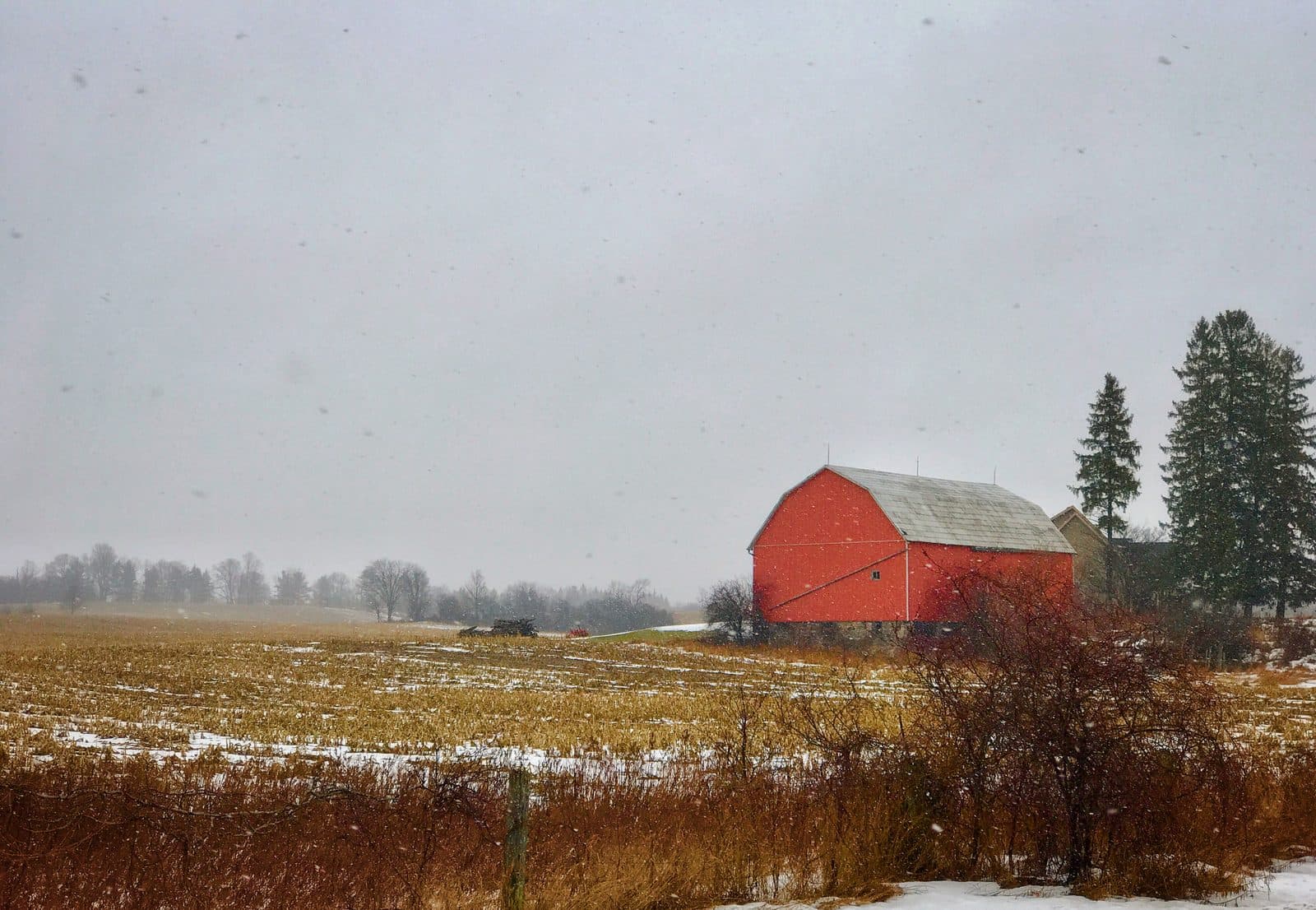 Classic red barn in the Scugog countryside