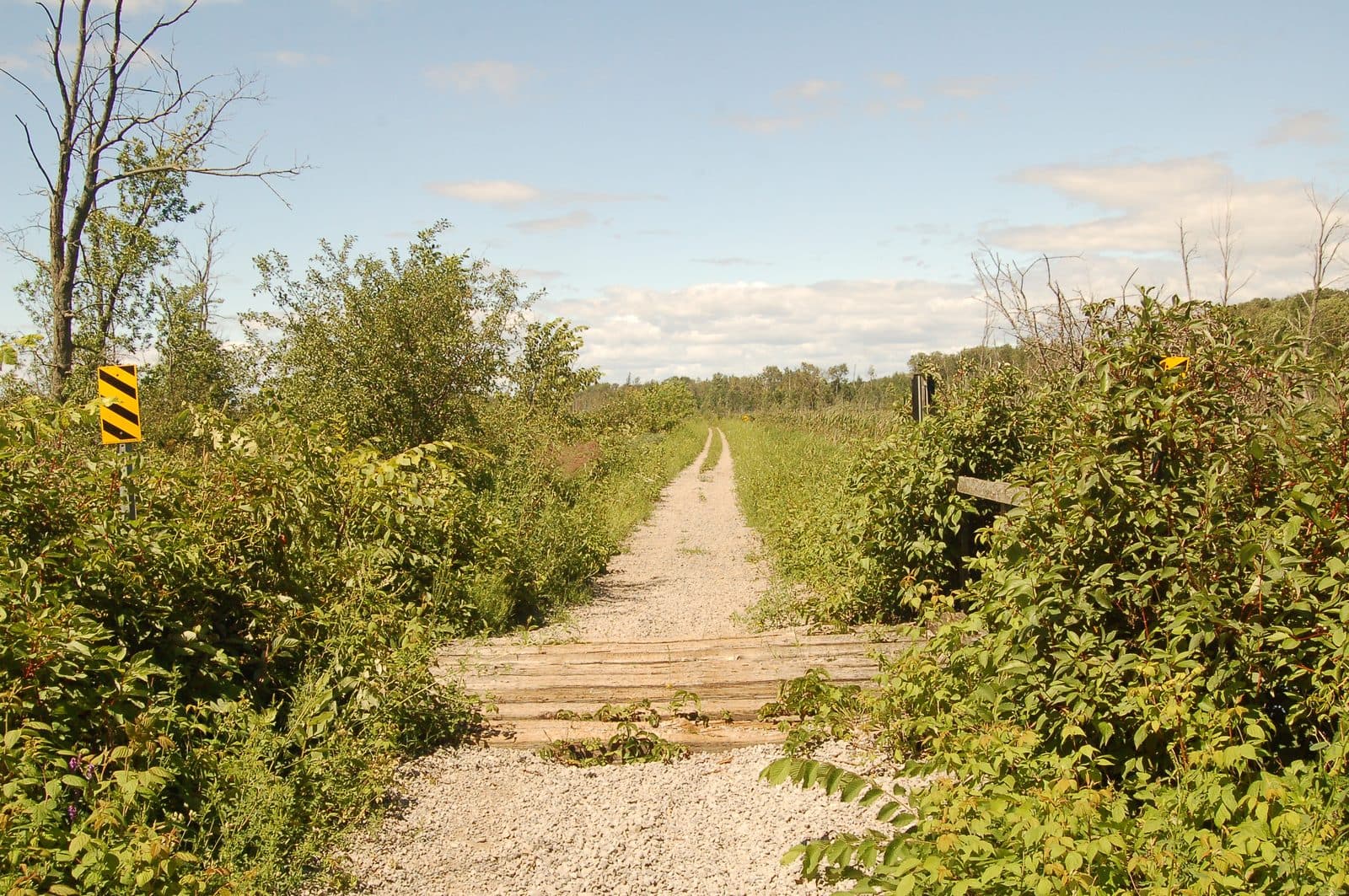 Country roads and farmland in the Township of Scugog