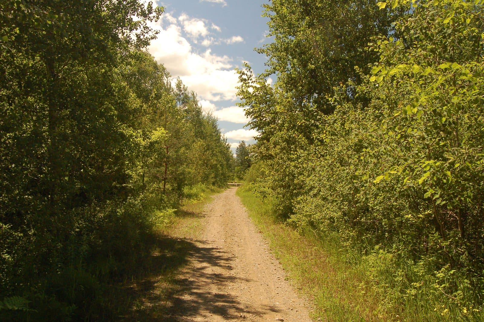 A rail trail winding through Uxbridge, Trail Capital of Canada
