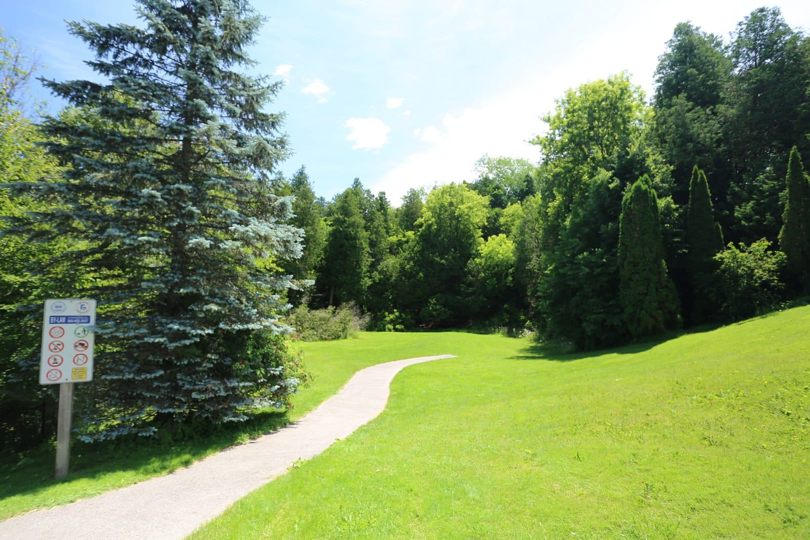 Wooded trail through Cullen Central Park