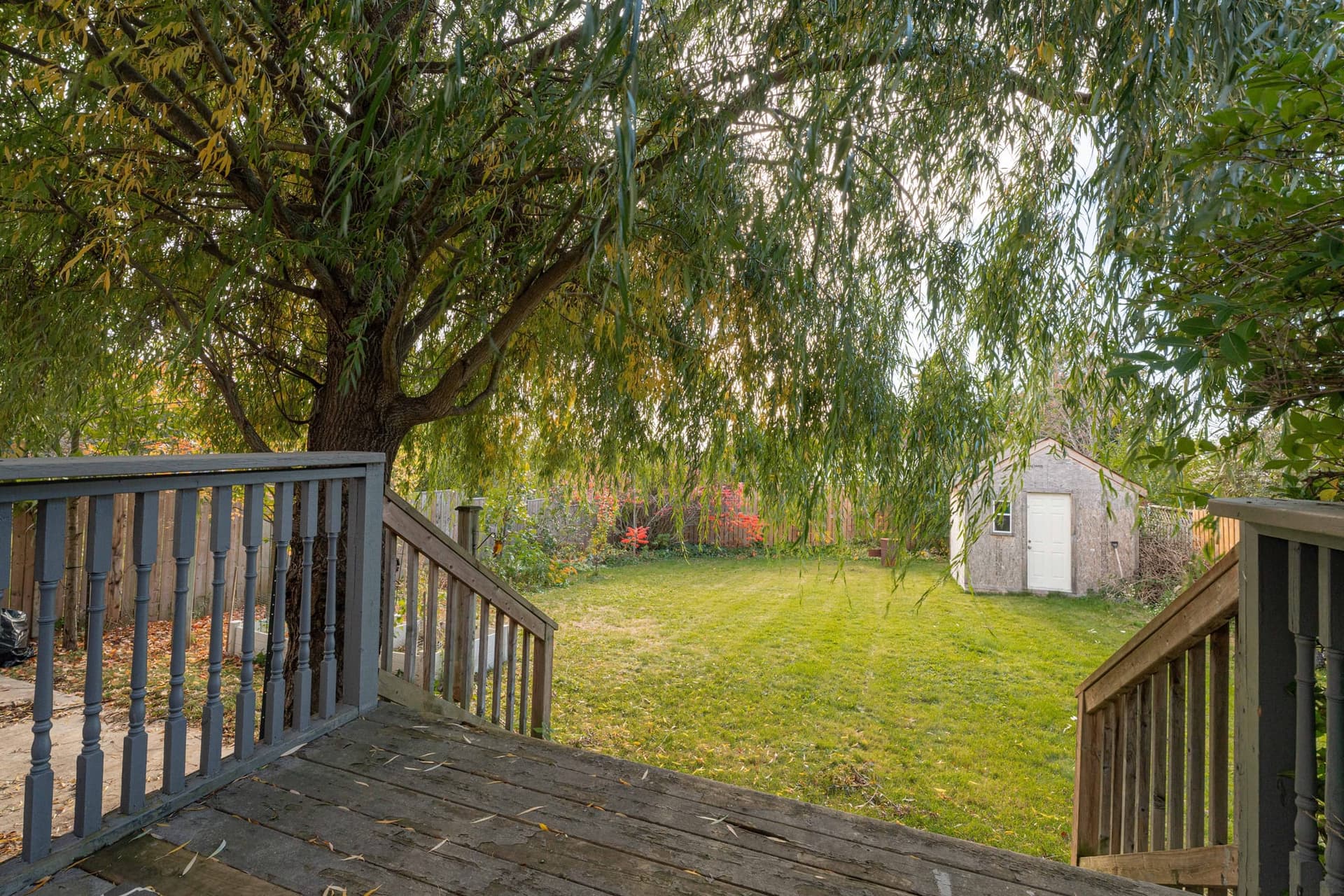 A 161 Foot Deep Lot Under A Willow