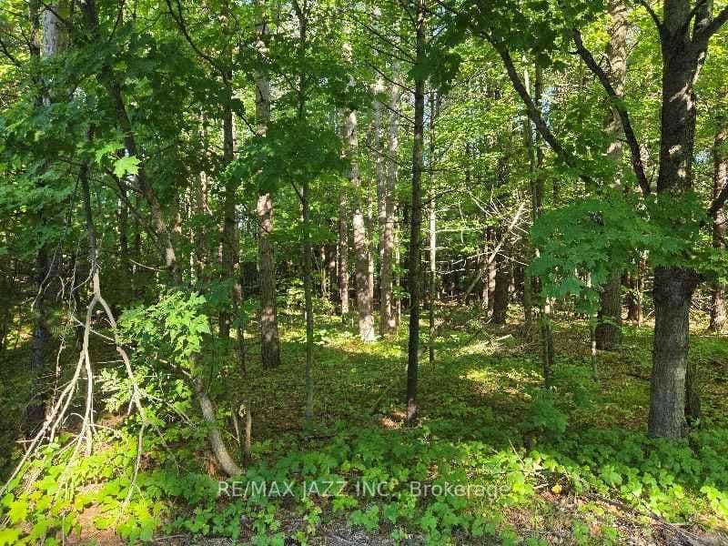 2 Sumac Rd, Burketon - Photo 2 of 11