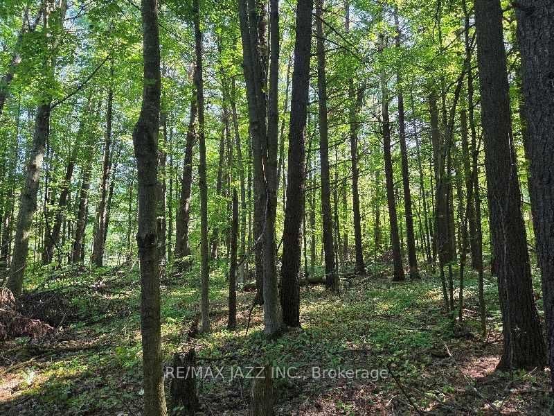 2 Sumac Rd, Burketon - Photo 7 of 11