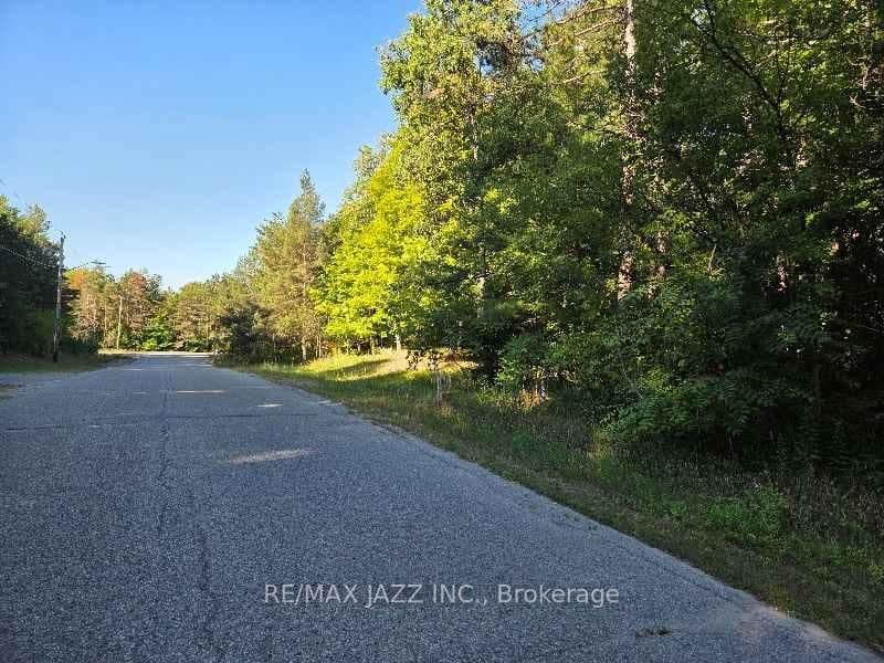 2 Sumac Rd, Burketon - Photo 10 of 11