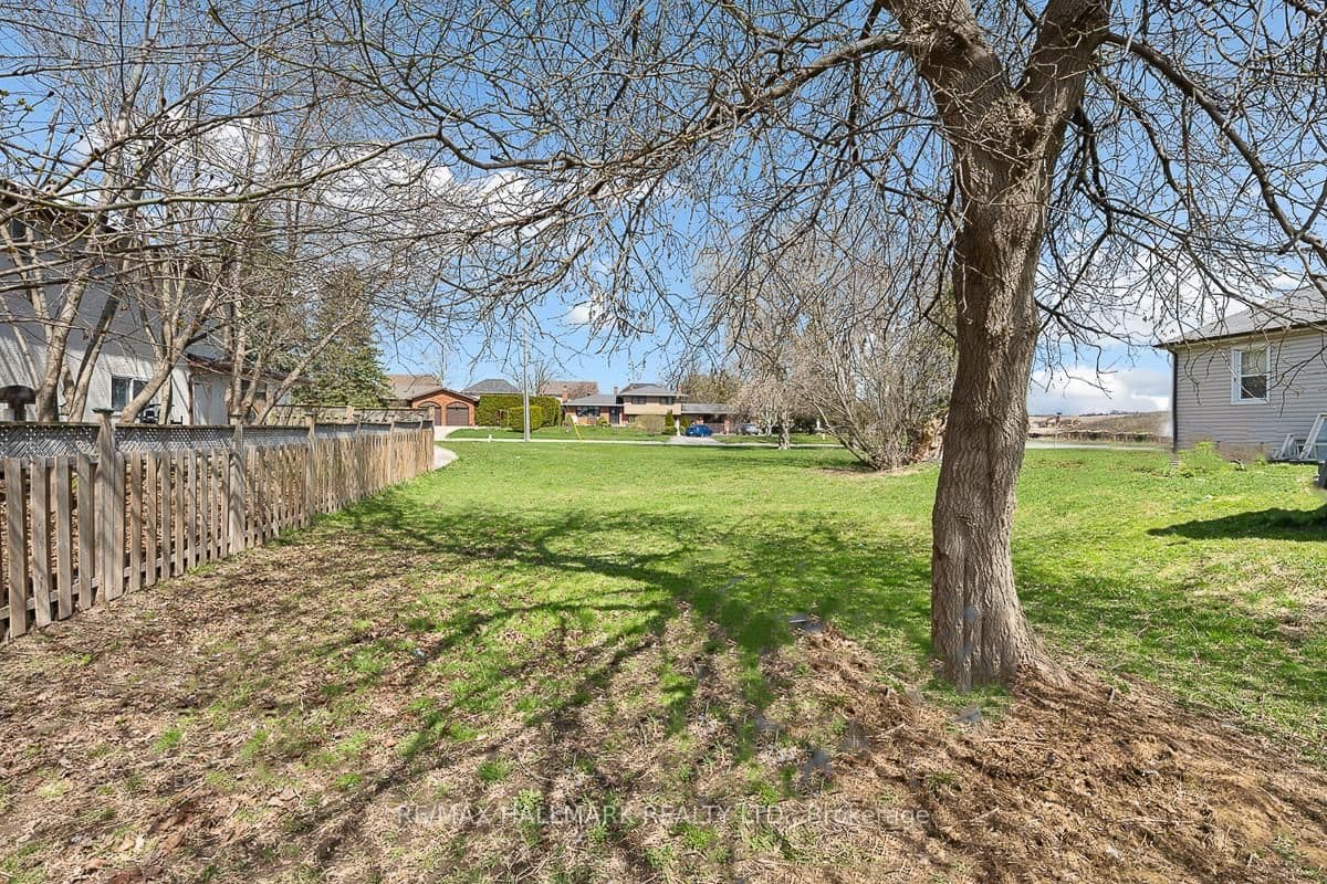 2030 Ritson Rd North, Oshawa - Photo 29 of 33